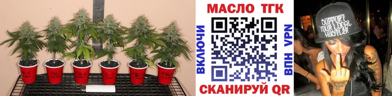 где купить наркотик  Гусиноозёрск  ТГК вейп с тгк 