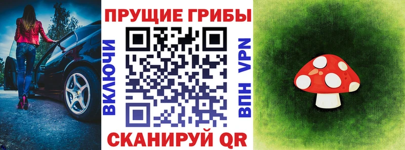продажа наркотиков  Гусиноозёрск  Псилоцибиновые грибы GOLDEN TEACHER 